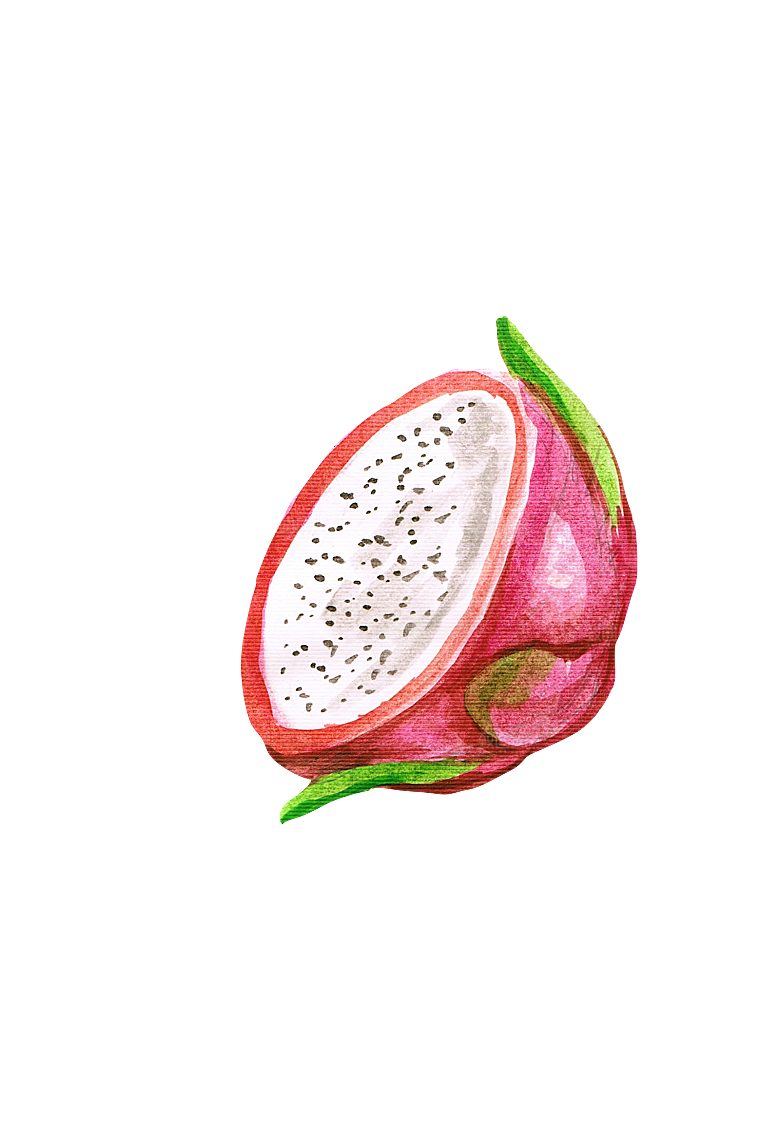 水果蔬菜美食餐饮插画PNG免扣元素