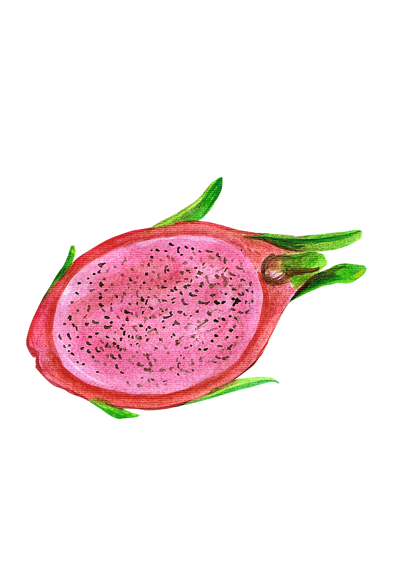 水果蔬菜美食餐饮插画PNG免扣元素