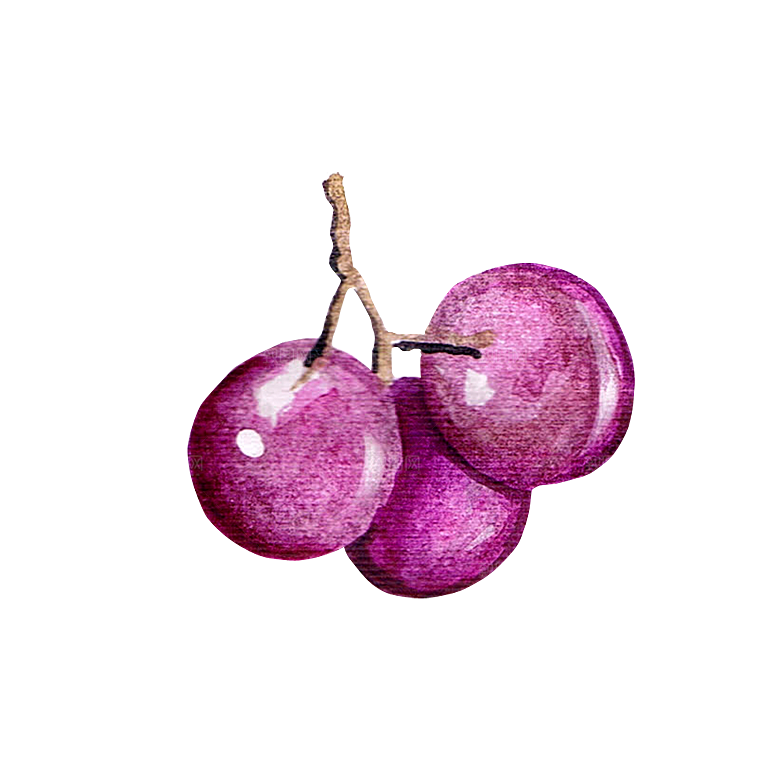 水果蔬菜美食餐饮插画PNG免扣元素