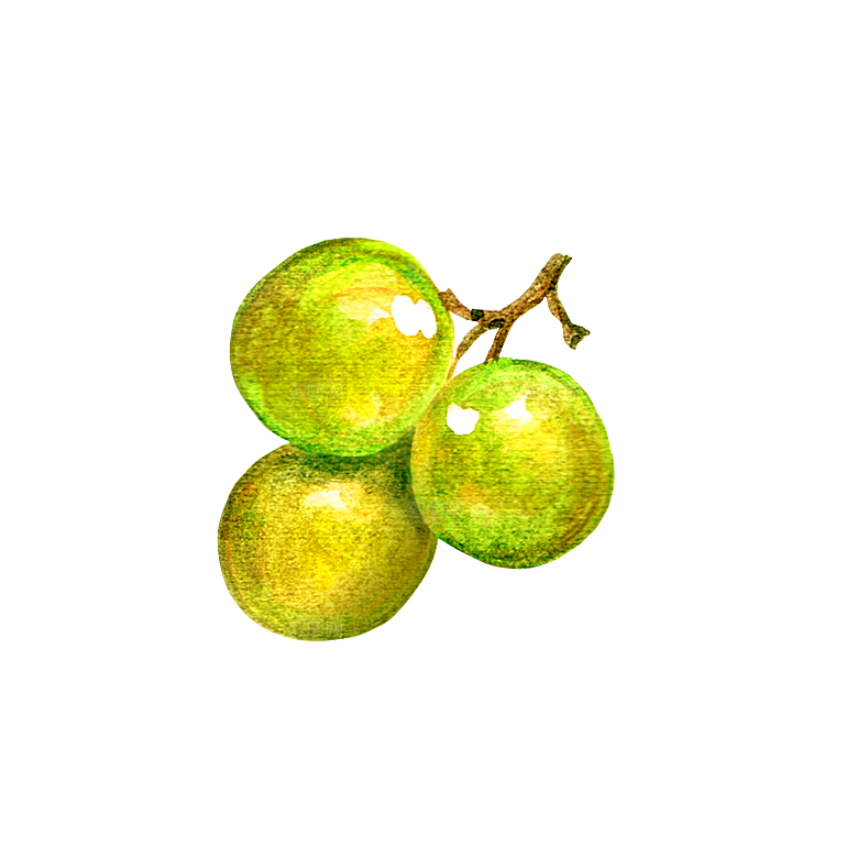 水果蔬菜美食餐饮插画PNG免扣元素
