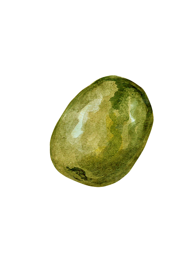 手绘水彩水墨水果蔬菜美食餐饮插画PNG
