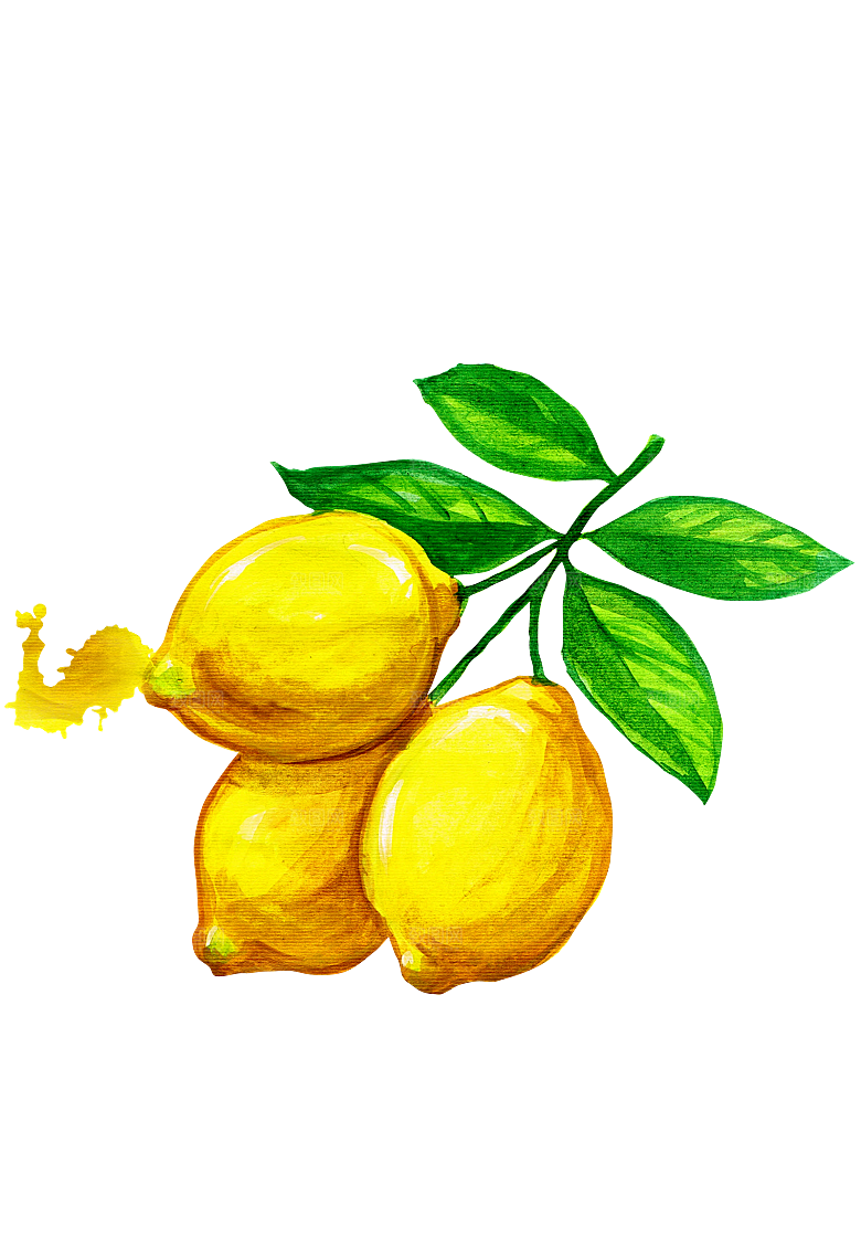 手绘水彩水墨水果蔬菜美食餐饮插画PNG