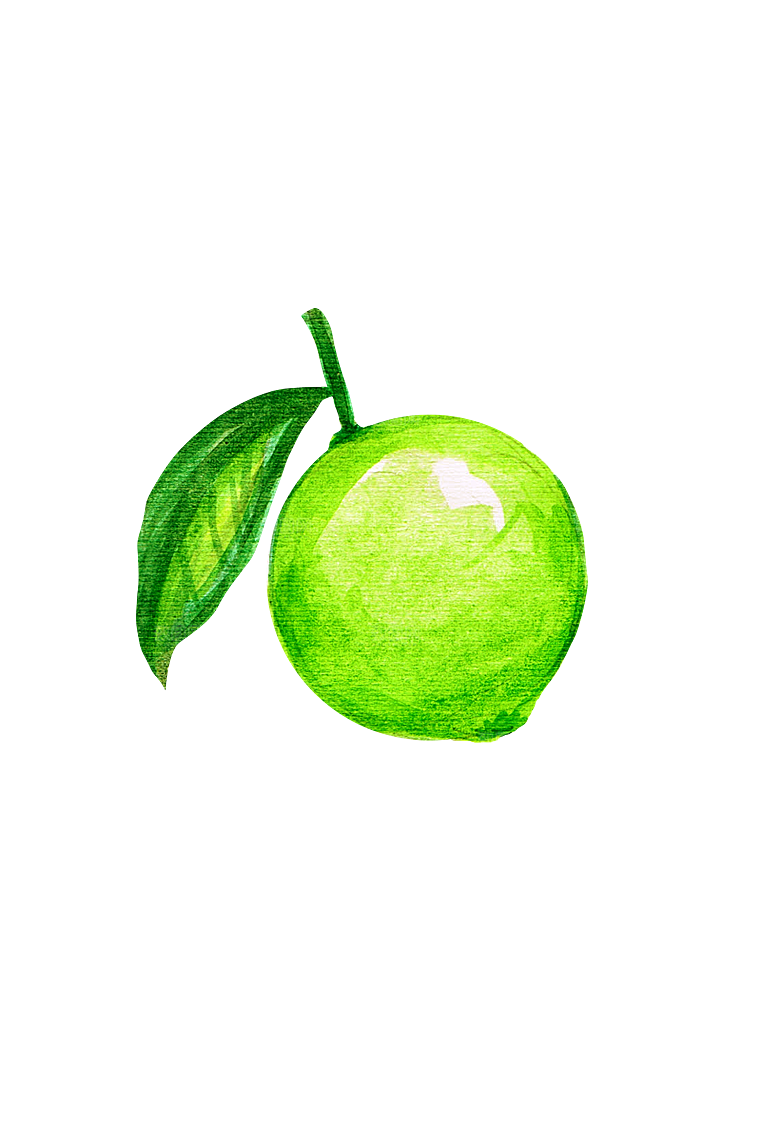手绘水彩水墨水果蔬菜美食餐饮插画PNG