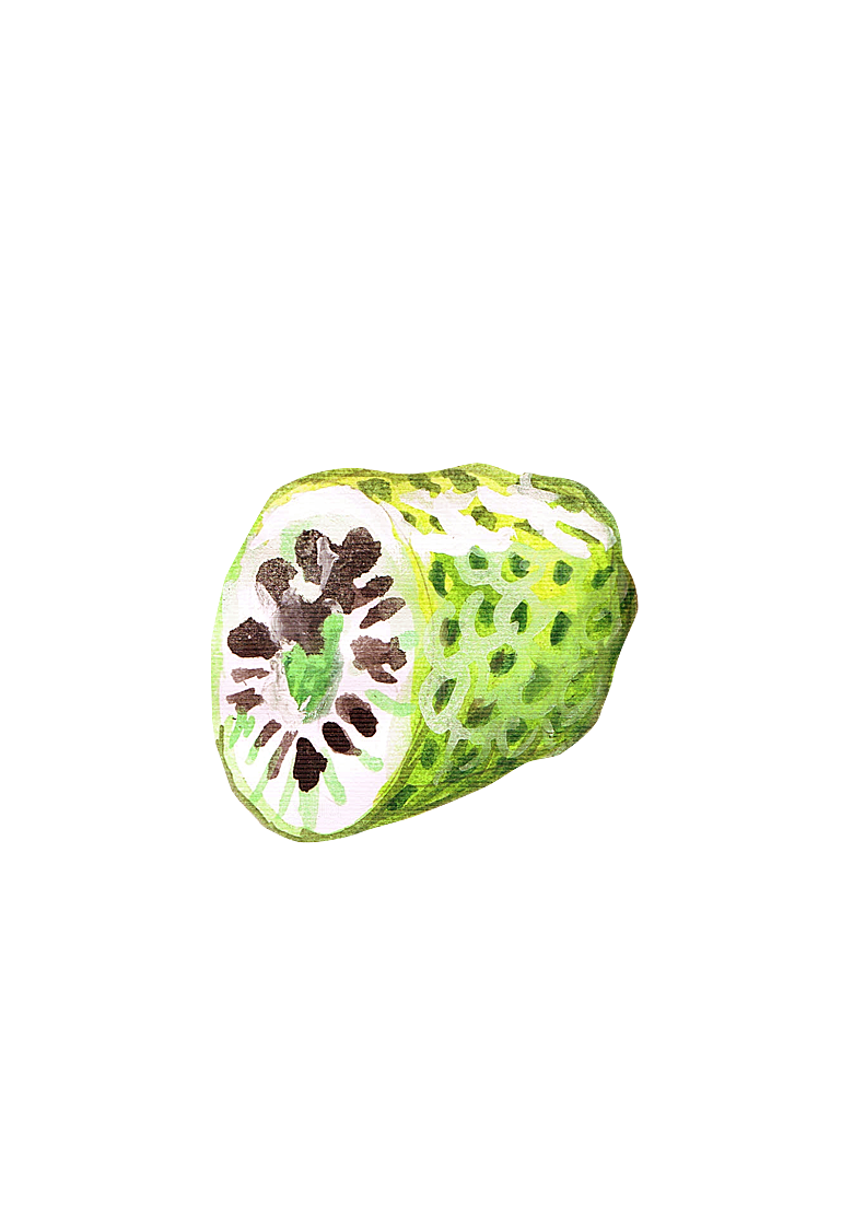水果蔬菜美食餐饮插画PNG免扣元素