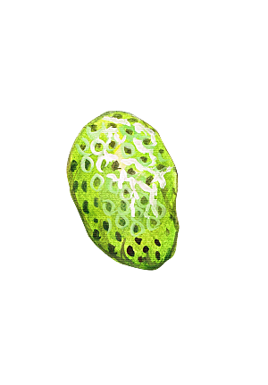 水果蔬菜美食餐饮插画PNG免扣元素