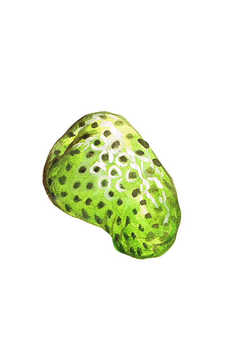 水果蔬菜美食餐饮插画PNG免扣元素