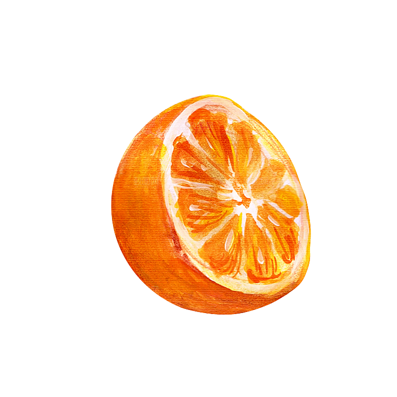 水果蔬菜美食餐饮插画PNG免扣元素