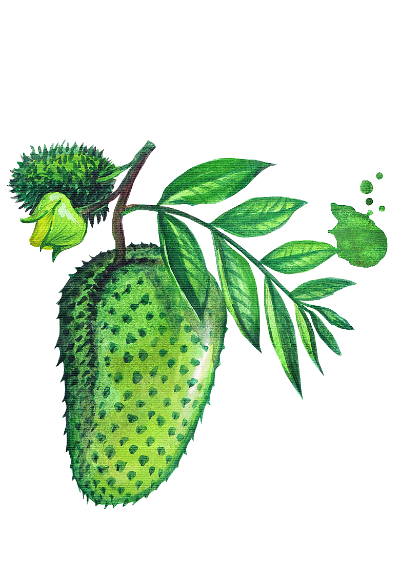 水果蔬菜美食餐饮插画PNG免扣元素