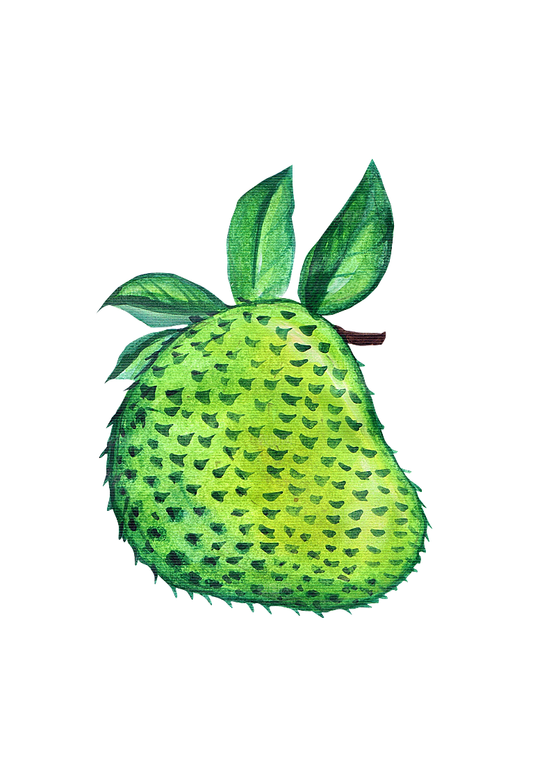 水果蔬菜美食餐饮插画PNG免扣元素
