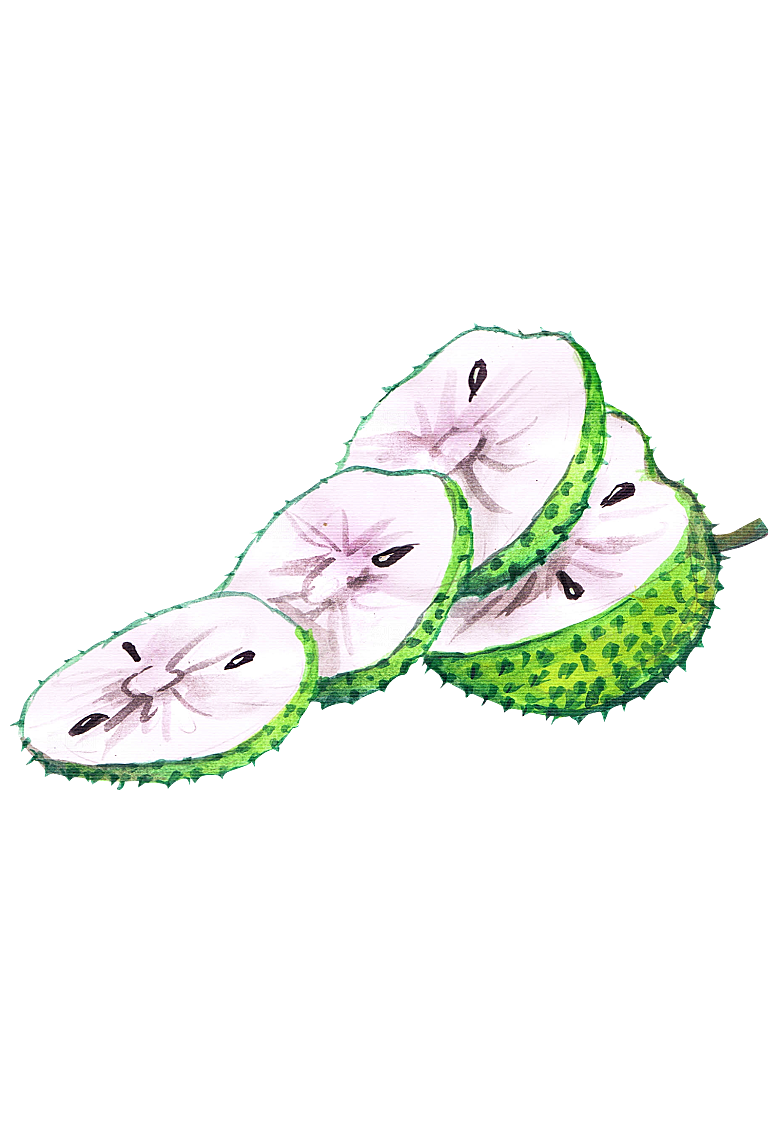 水果蔬菜美食餐饮插画PNG免扣元素
