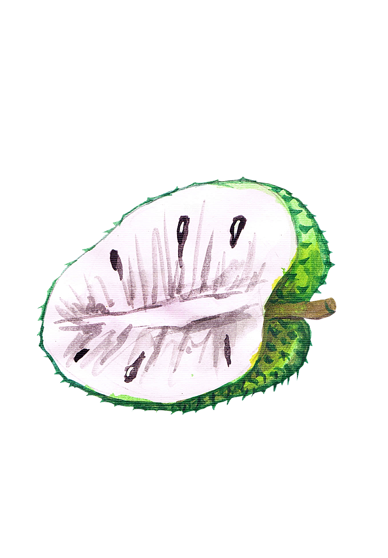 水果蔬菜美食餐饮插画PNG免扣元素