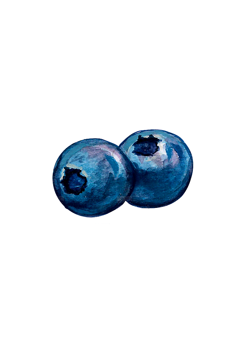 水果蔬菜美食餐饮插画PNG免扣元素