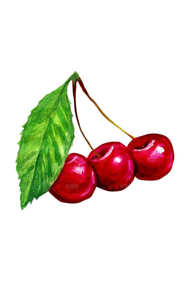 水果蔬菜美食餐饮插画PNG免扣元素