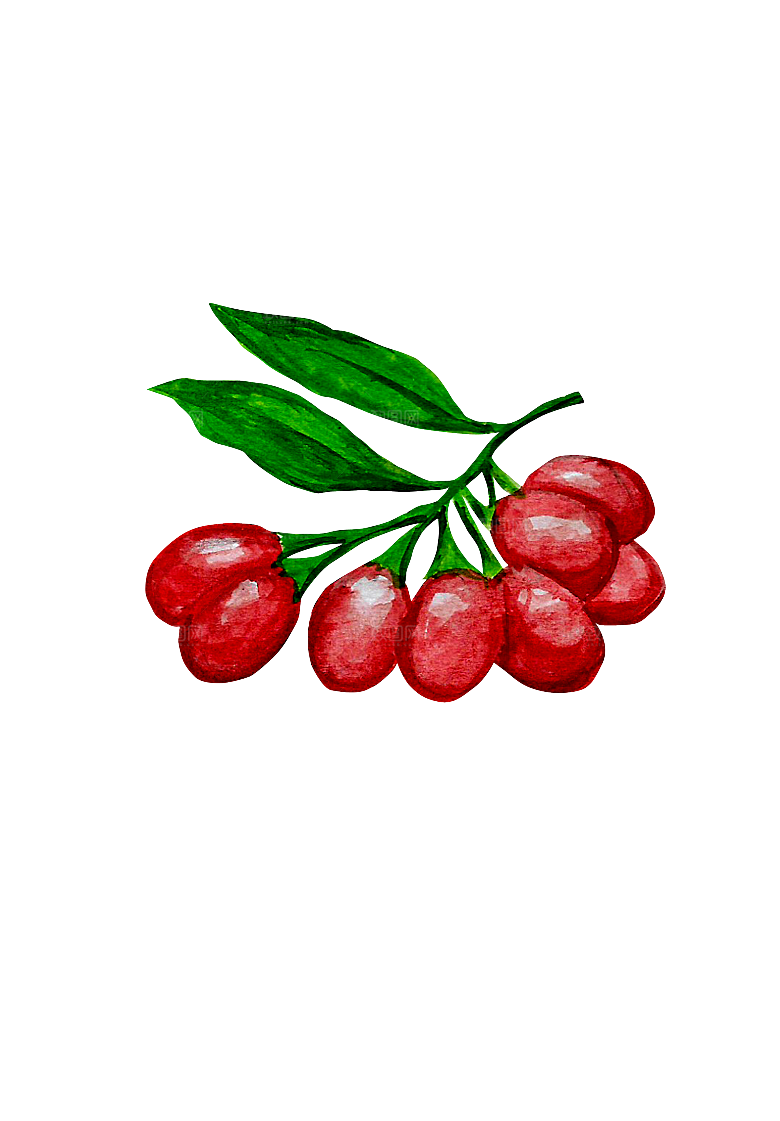 水果蔬菜美食餐饮插画PNG免扣元素