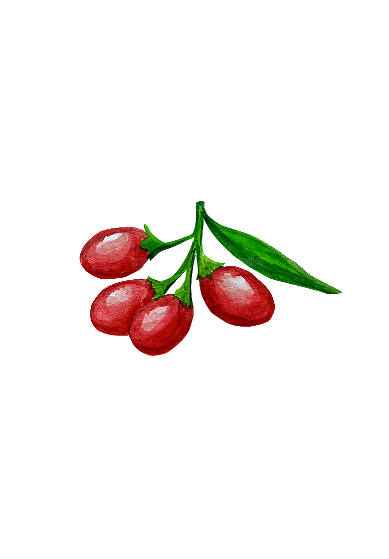 水果蔬菜美食餐饮插画PNG免扣元素
