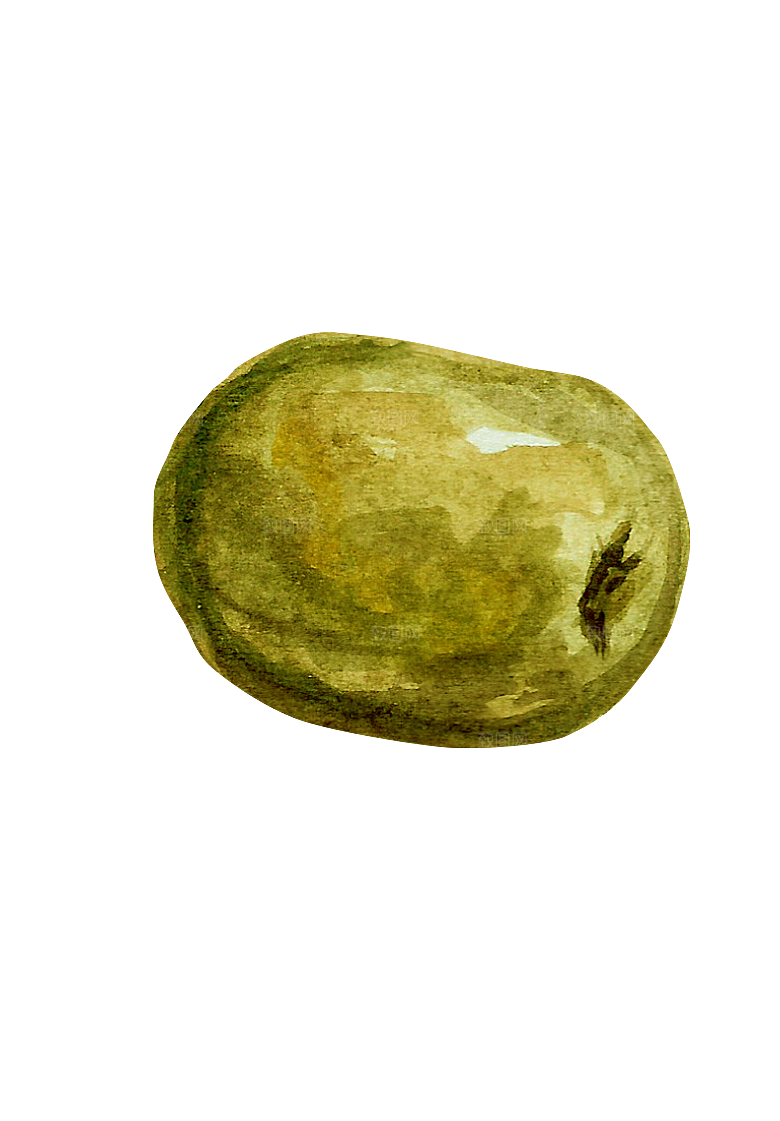 水果蔬菜美食餐饮插画PNG免扣元素