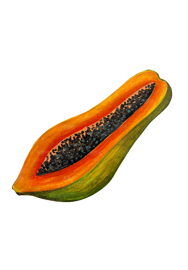 水果蔬菜美食餐饮插画PNG免扣元素