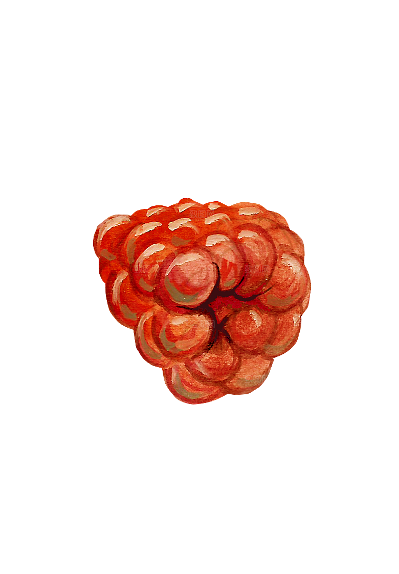 水果蔬菜美食餐饮插画PNG免扣元素