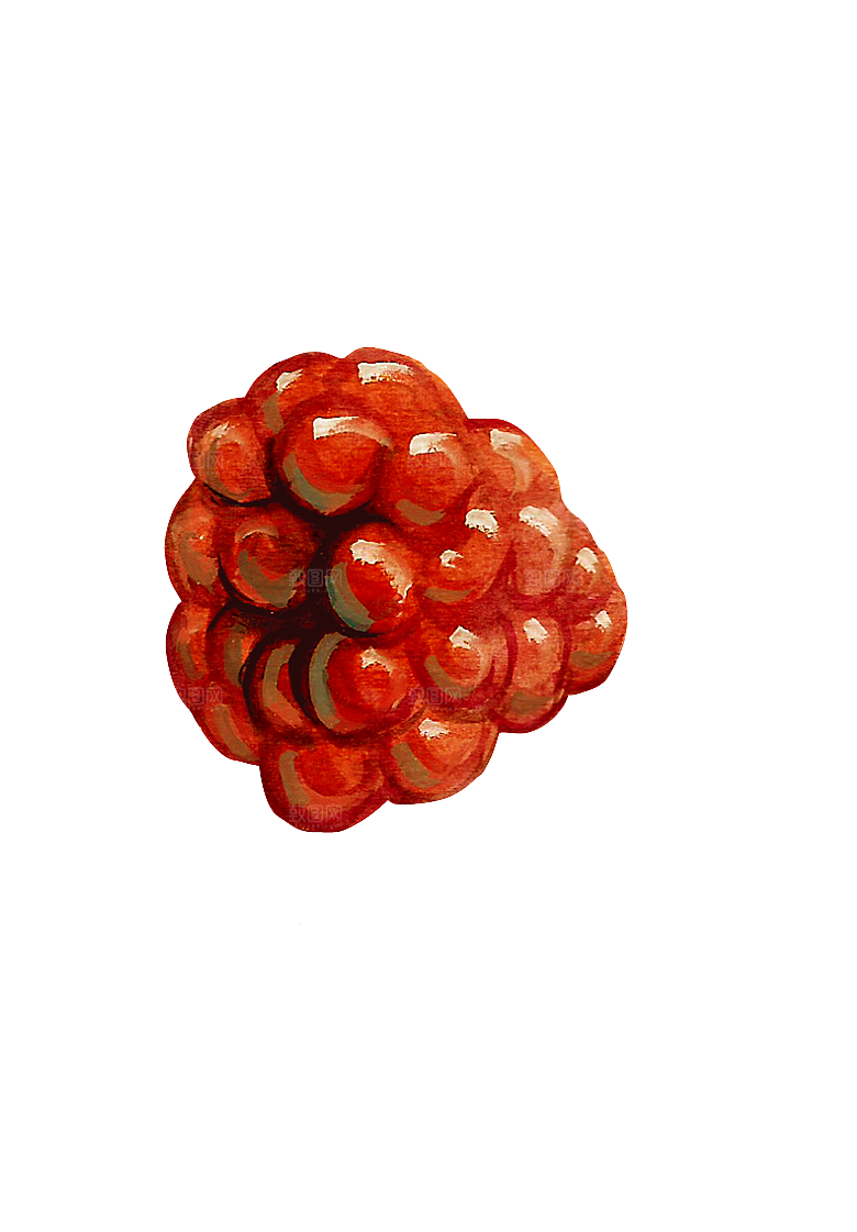 水果蔬菜美食餐饮插画PNG免扣元素