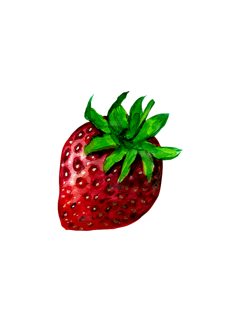 水果蔬菜美食餐饮插画PNG免扣元素