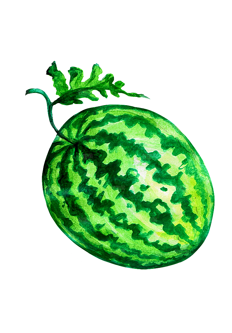 手绘水彩水墨水果蔬菜美食餐饮插画PNG免