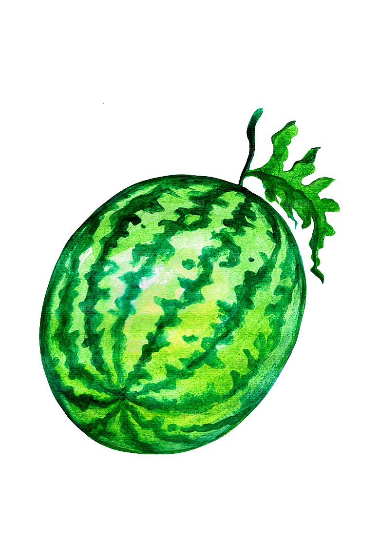 手绘水彩水墨水果蔬菜美食餐饮插画PNG免