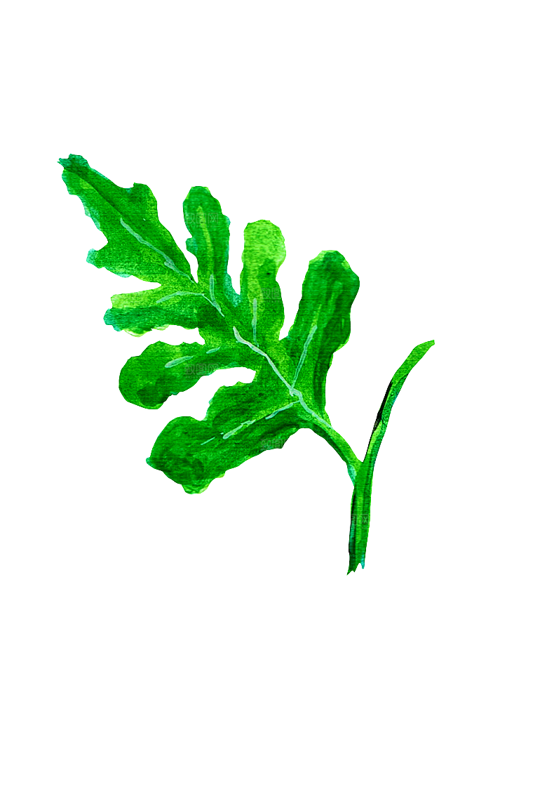 手绘水彩水墨水果蔬菜美食餐饮插画PNG免