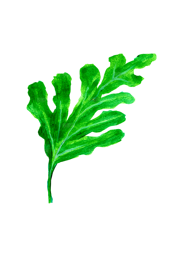 手绘水彩水墨水果蔬菜美食餐饮插画PNG免