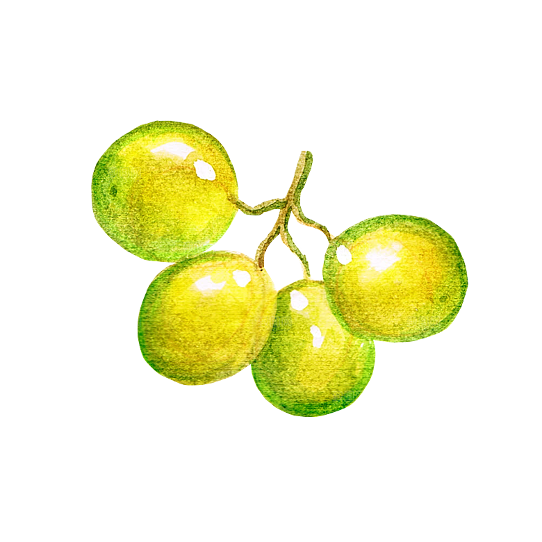 水果蔬菜美食餐饮插画PNG免扣元素