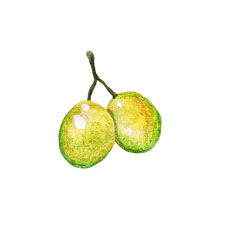手绘水彩水墨水果蔬菜美食餐饮插画