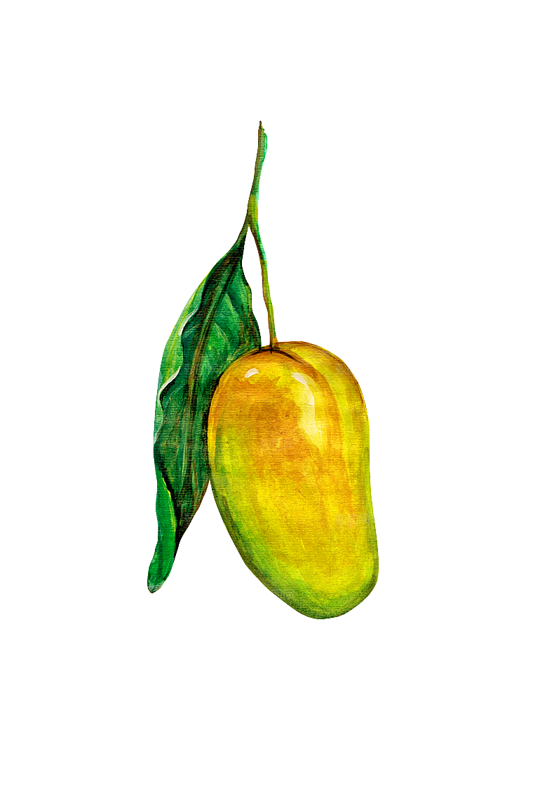 手绘水彩水墨水果蔬菜美食餐饮插画