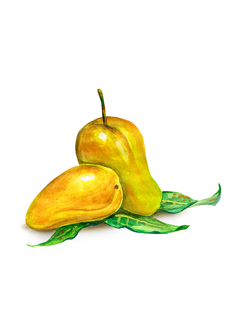 手绘水彩水墨水果蔬菜美食餐饮插画
