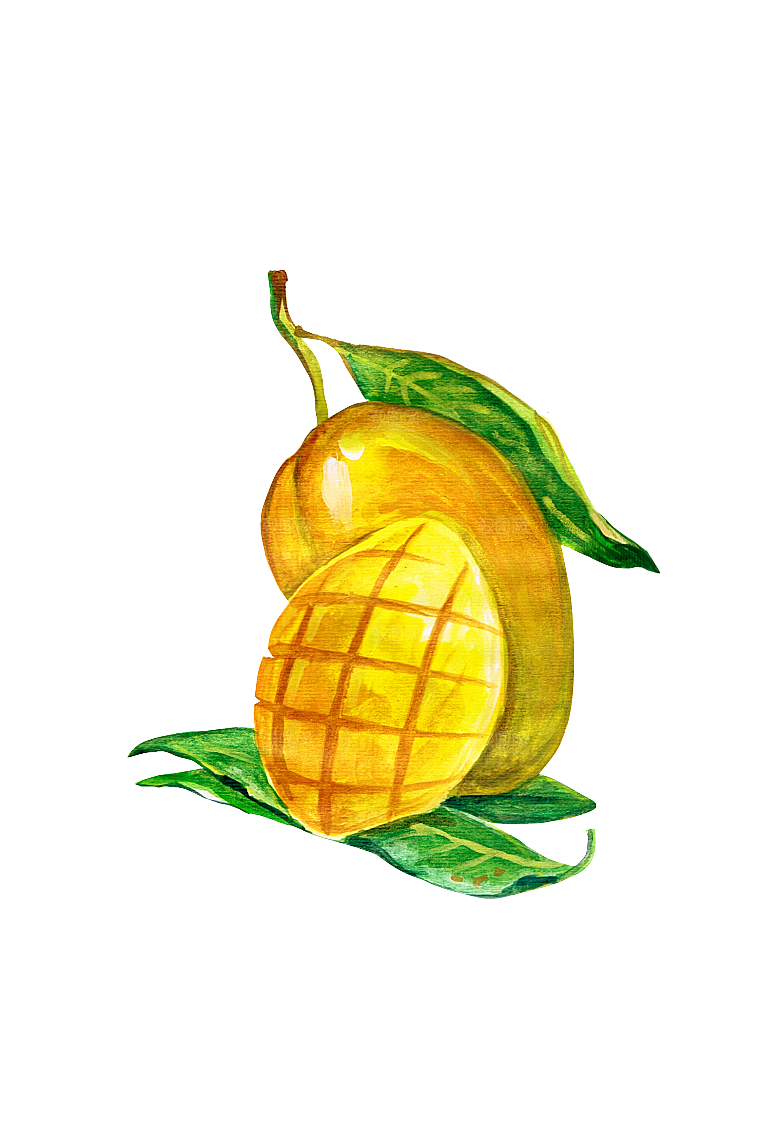 手绘水彩水墨水果蔬菜美食餐饮插画