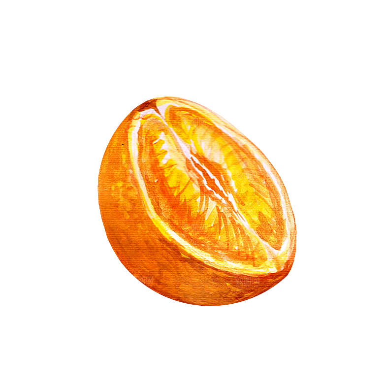 手绘水彩水墨水果蔬菜美食餐饮插画