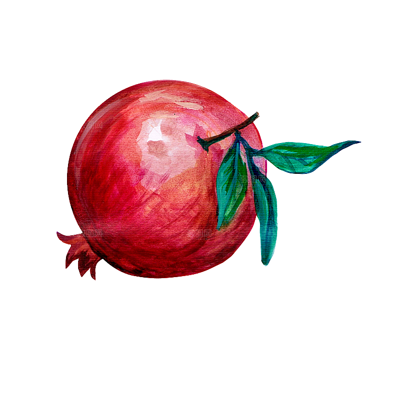 手绘水彩水墨水果蔬菜美食餐饮插画