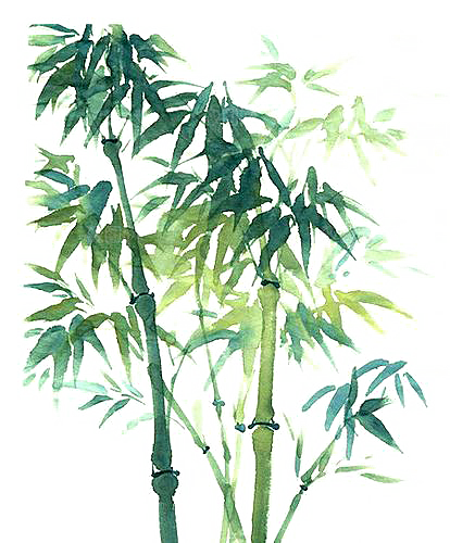 中国风卡通手绘绿色竹子水墨竹叶竹节