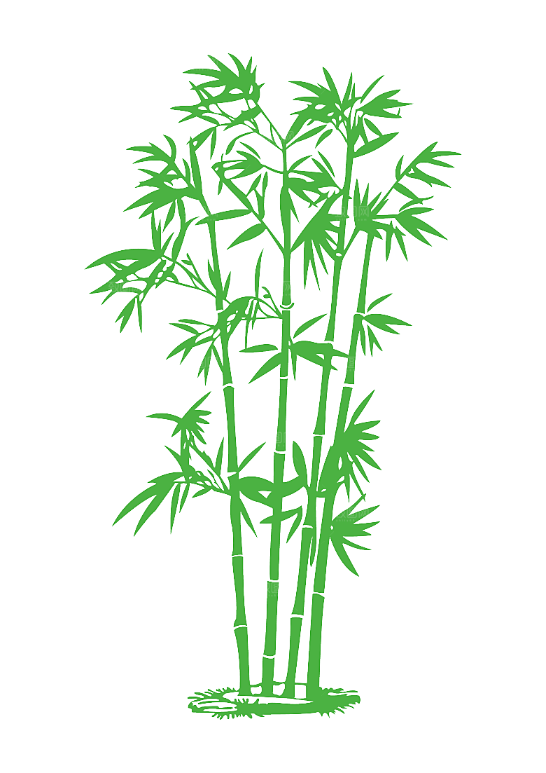 中国风卡通手绘绿色竹子水墨竹叶竹节
