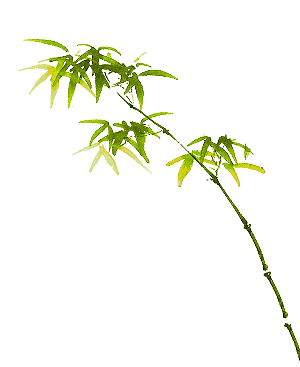 中国风卡通手绘绿色竹子水墨竹叶竹节