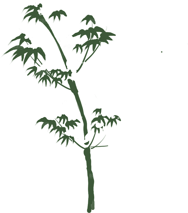 中国风卡通手绘绿色竹子水墨竹叶竹节