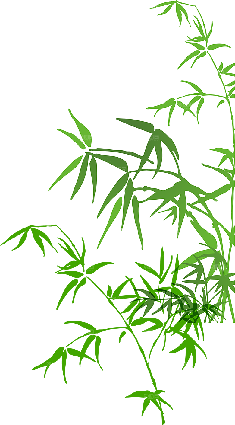 中国风卡通手绘绿色竹子水墨竹叶竹节