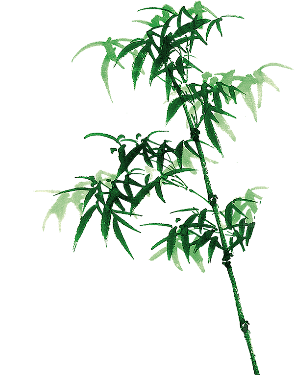中国风卡通手绘绿色竹子水墨竹叶竹节