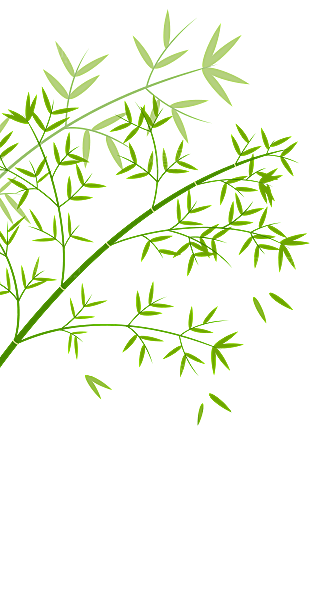 中国风卡通手绘绿色竹子水墨竹叶竹节