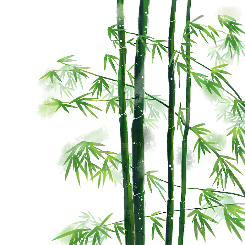 中国风卡通手绘绿色竹子水墨竹叶竹节