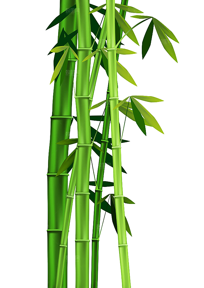 中国风卡通手绘绿色竹子水墨竹叶竹节