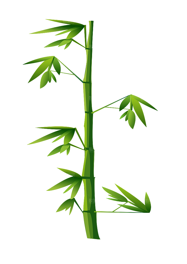 中国风卡通手绘绿色竹子水墨竹叶竹节