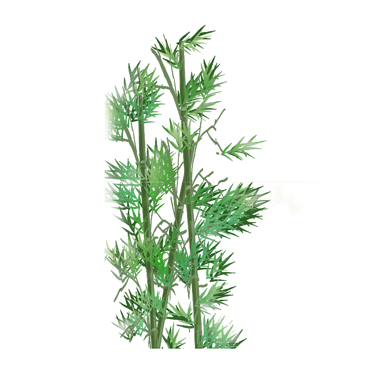 中国风卡通手绘绿色竹子水墨竹叶竹节