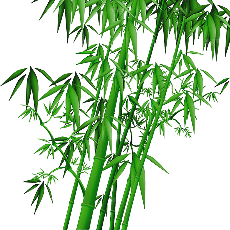 中国风卡通手绘绿色竹子水墨竹叶竹节