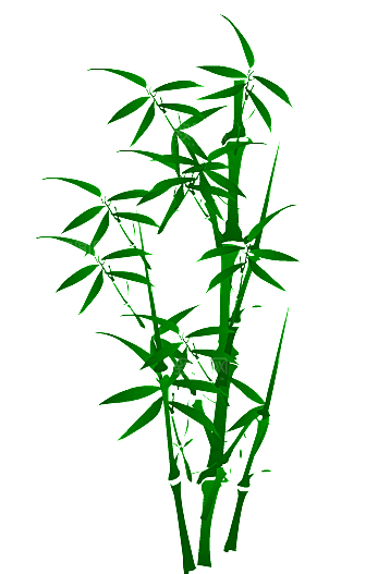 中国风卡通手绘绿色竹子水墨竹叶竹节