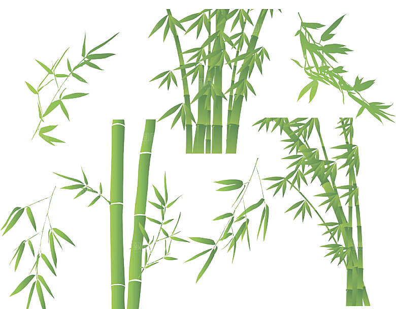 中国风卡通手绘绿色竹子水墨竹叶竹节