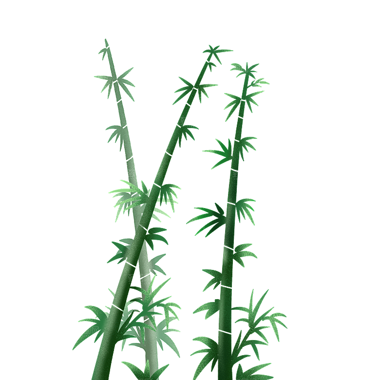 中国风卡通手绘绿色竹子水墨竹叶竹节